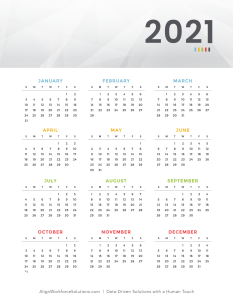 2021 Year at a glance
